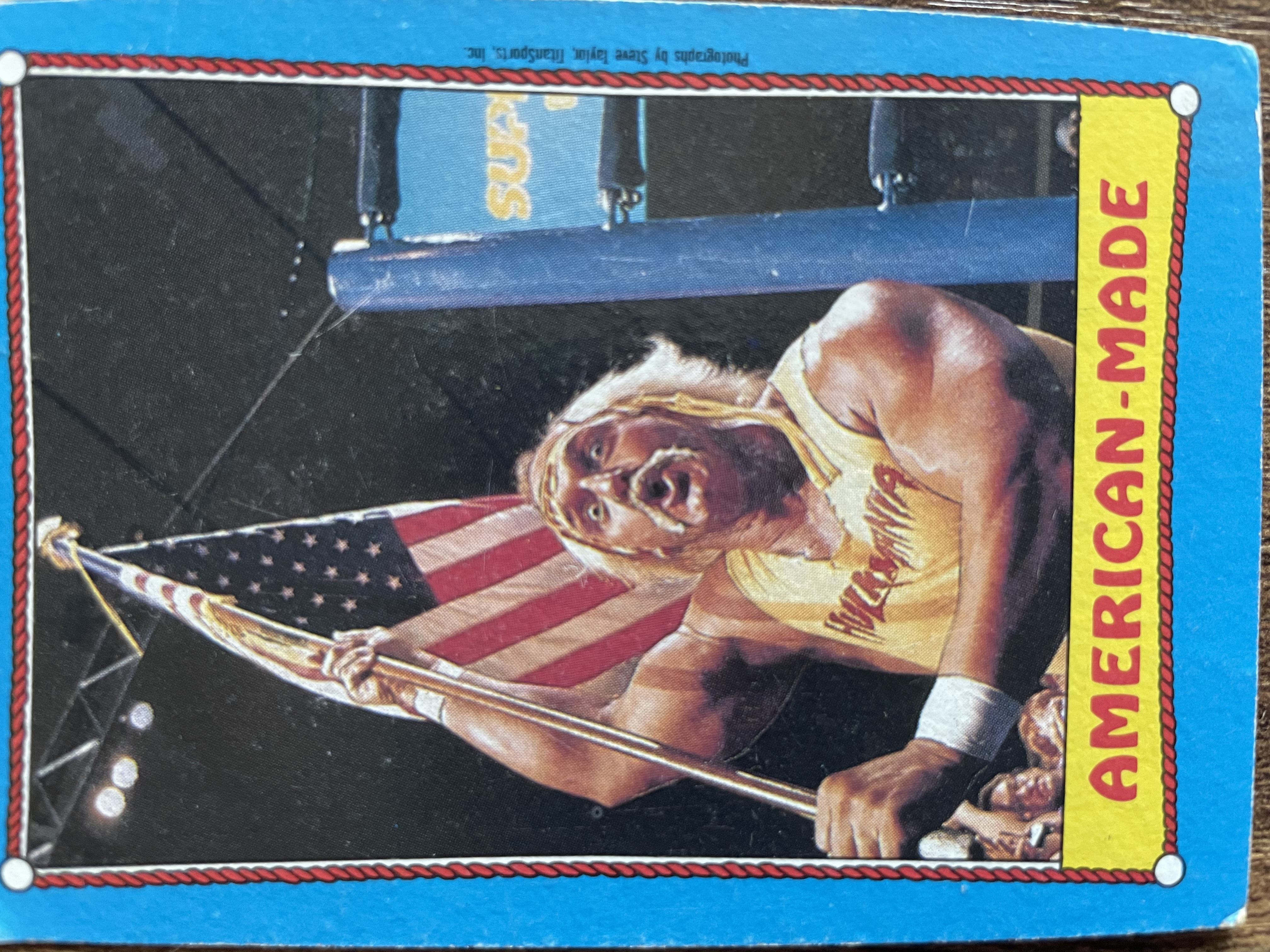 Hulk Hogan #35